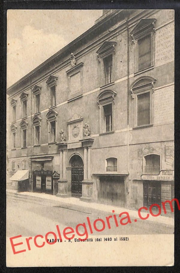 ah4089 - CARTOLINA D'EPOCA - Padova Città - R. Università