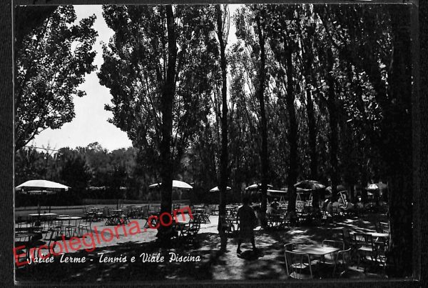 ah4091 - CARTOLINA D'EPOCA - Padova Città - Salice Terme