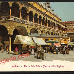 ah4100 - CARTOLINA D'EPOCA - Padova Città - Piazza delle Erbe