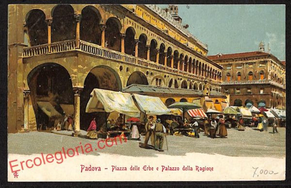 ah4100 - CARTOLINA D'EPOCA - Padova Città - Piazza delle Erbe