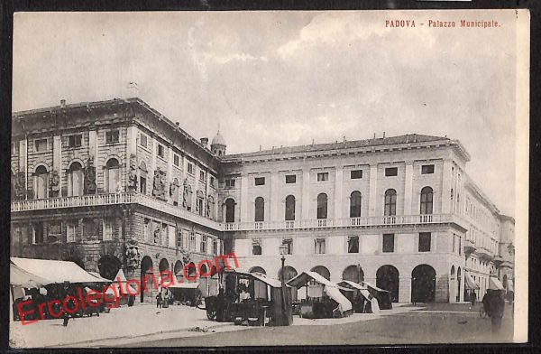ah4107 - CARTOLINA D'EPOCA - Padova Città - Palazzo Municipale