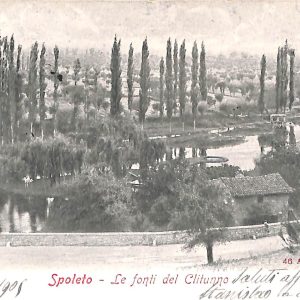 ac2931 - CARTOLINA  D'EPOCA - Perugia Provincia - SPOLETO