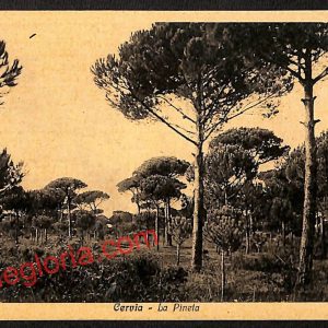 ah9258 - CARTOLINA D'EPOCA - Ravenna Provincia - Cervia