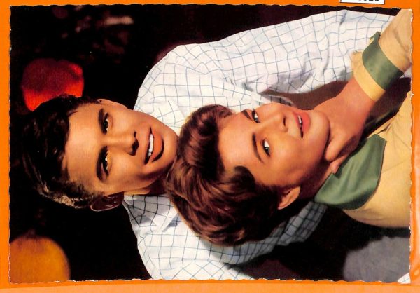 AA8326 - VINTAGE POSTCARD - CINEMA  ACTORI : CONNY FRBOESS AND PETER KRAUS