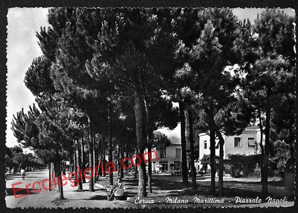 ah9264 - CARTOLINA D'EPOCA - Ravenna Provincia - Cervia