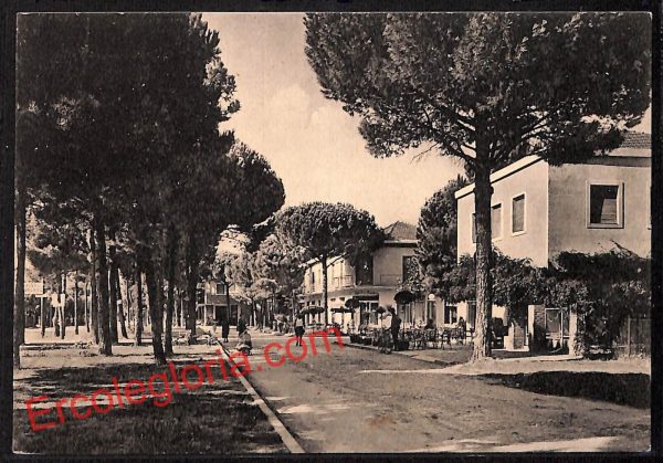 ah9267 - CARTOLINA D'EPOCA - Ravenna Provincia - Cervia