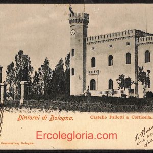 ae2069 - CARTOLINA  D'EPOCA - Bologna Città - Castello Pallotti