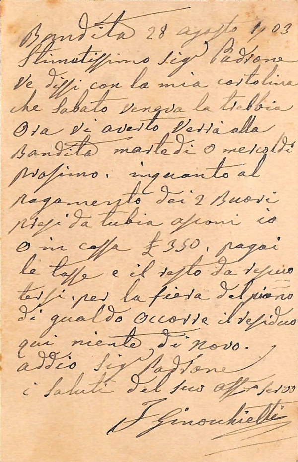 ac2843 - CARTOLINA  D'EPOCA - Perugia Provincia - NOCERA UMBRA - immagine 2