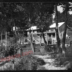 ae5434 - CARTOLINA D'EPOCA - Cosenza Provincia - La  Sila