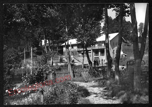 ae5434 - CARTOLINA D'EPOCA - Cosenza Provincia - La  Sila