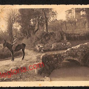 ai9264 - CARTOLINA D'EPOCA - Trapani Città