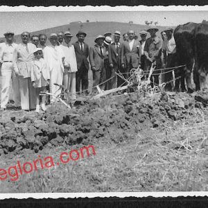 ai9291 - CARTOLINA D'EPOCA - Trapani Città - Vera Foto