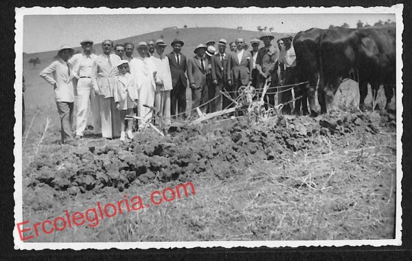 ai9291 - CARTOLINA D'EPOCA - Trapani Città - Vera Foto