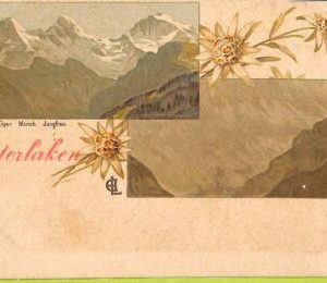 ad4460 - SWITZERLAND Schweitz - Ansichtskarten VINTAGE POSTCARD-Interlaken-1904