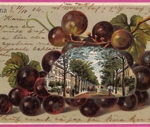ah6972  - GERMANY - VINTAGE POSTCARD Ansichtskarten - Altona