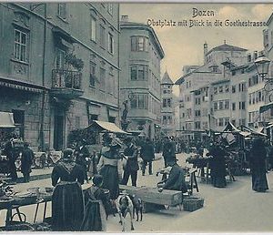 40454   CARTOLINA d'Epoca - BOLZANO Città : MERCATO Obstmarkt