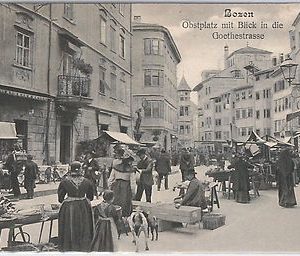 40474  CARTOLINA d'Epoca - BOLZANO Città : MERCATO Obstmarkt