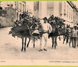 4485 - SPAIN - VINTAGE POSTCARD - Las Palmas -  Canarias Costumes