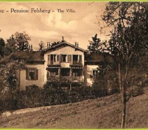 ad4643 - SWITZERLAND Schweitz- Ansichtskarten VINTAGE POSTCARD-  Luzern