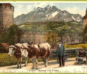 ad4640 - SWITZERLAND Schweitz- Ansichtskarten VINTAGE POSTCARD-  Luzern - 1906