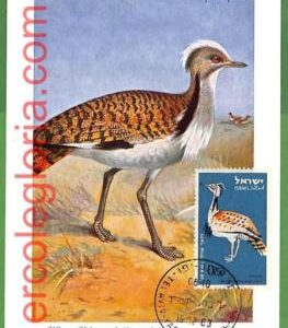 32907 - ISRAEL -  MAXIMUM CARD  - 1963 - FAUNA, BIRDS