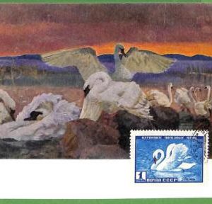 32896 - USSR -  MAXIMUM CARD  -  FAUNA, BIRDS