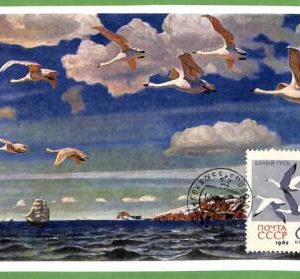 32889 - USSR -  MAXIMUM CARD  -  FAUNA, BIRDS