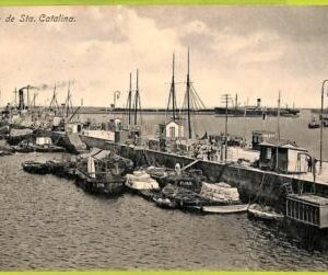 4493 - SPAIN - VINTAGE POSTCARD - Canarias - Muelle de Sta.Catalina