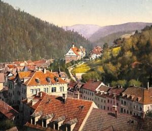 ab9368 - Ansichtskarten  POSTCARD - GERMANY Deutschland -    Triberg  1912