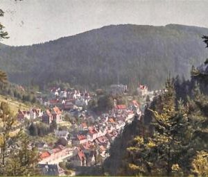 ab9369 - Ansichtskarten  POSTCARD - GERMANY Deutschland -    Triberg  1912