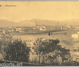 60344  - CARTOLINA d'Epoca - LA SPEZIA provincia -  SARZANA 1919