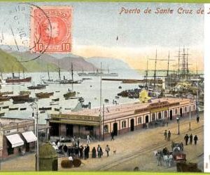 4499 - SPAIN - VINTAGE POSTCARD - Tenerife - Puerte de Santa Cruz