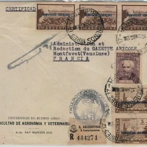 39415 - ARGENTINA - POSTAL HISTORY:  SERVICIO OFFICIAL stamps on COVER to FRANCE