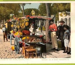 12750 - HABANA - Vintage Postcard - Fruit stands on the Prado