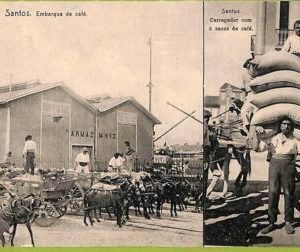 ah0134 - BRAZIL - VINTAGE POSTCARD - Santos - Costumes  Coffe