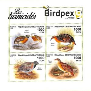 A7337 - CENTRAFRICAINE - ERROR MISPERF Stamp Sheet - 2022 - Birds