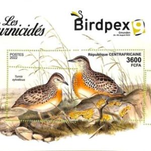 A7338 - CENTRAFRICAINE - ERROR MISPERF Stamp Sheet - 2022 - Birds