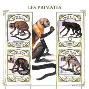 A7298 - CENTRAFRICAINE - ERROR MISPERF Stamp Sheet - 2022 - Animals, Monkeys