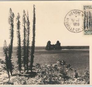 62872 - New Caledonia   Nouvelle-Calédonie -  MAXIMUM CARD 1959  PLAM TREES