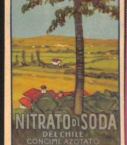 Lib607 - CARTOLINA d'Epoca - PUBBLICITARIA Illustrata: NITRATO SODA Metlicovitz
