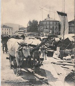 40237 - CARTOLINA d'Epoca - COMO Città : S. AGOSTINA - CARRO BUOI