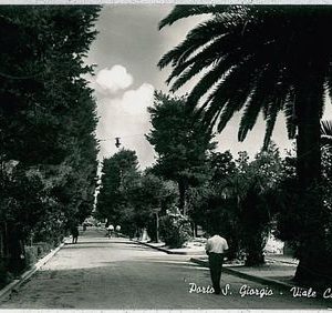 34012  CARTOLINA d'Epoca ASCOLI PICENO provincia - Porto San Giorgio 1955
