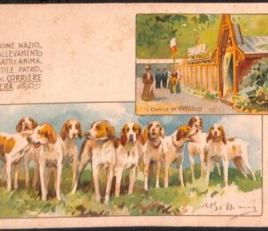 Lib513 - CARTOLINA d'Epoca Illustrata - EXPO Cani Gatti MILANO 1900 - BELTRAME