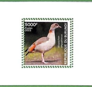 B1220 - BURUNDI - ERROR MISPERF Stamp Sheet - 2023 - Animals, Birds
