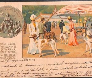 Lib515 - CARTOLINA d'Epoca Illustrata - EXPO Cani Gatti MILANO 1900 - BELTRAME