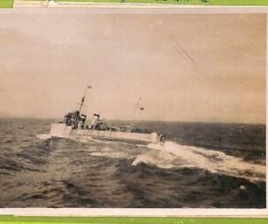 af7788 - VINTAGE POSTCARD Ansichtskarten - Italian ship Animoso  NAVI