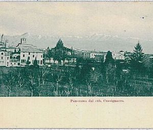 CARTOLINA d'Epoca UDINE citta'  -  SALUTI