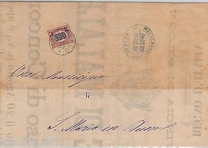 55441 - ITALIA REGNO - STORIA POSTALE :  MANIFESTO da MALALBERGO Bologna 1880
