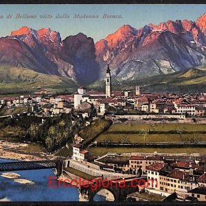 ae1007 - CARTOLINA  D'EPOCA - Belluno Citta - Panorama