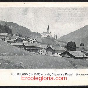 ae1008 - CARTOLINA  D'EPOCA - Belluno Citta - Panorama